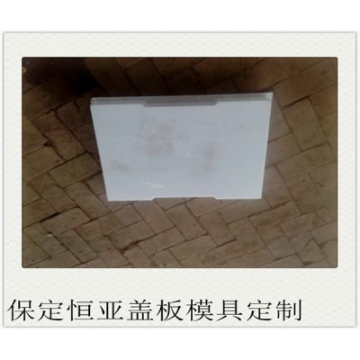 蓋板塑料模具 邊溝蓋板模具